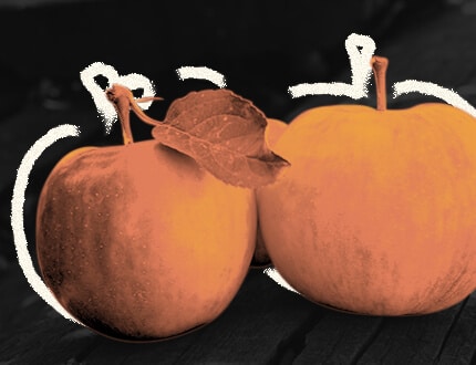 Beware of Comparing apples and oranges when comparing video production proposals